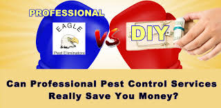 We carry the same products as professionals use and we will teach you how to apply them. Can Seattle Pest Control Services Save You Money