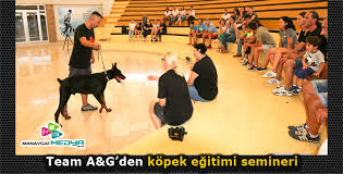 Team A G Den Kopek Egitimi Semineri Manavgat Haber Antalya Nin En Guncel Ve Tarafsiz Haber Merkezi