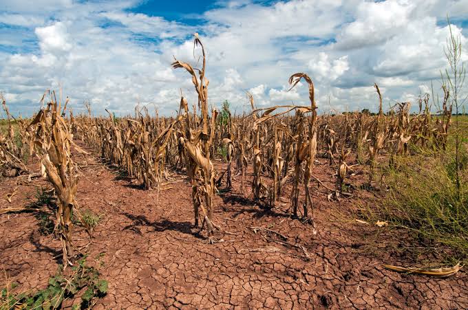 Tracking the thirst of the atmosphere - NOAA Research