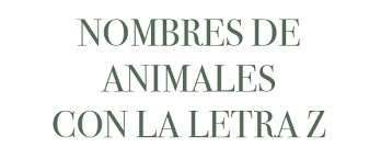 Todos Los Nombres De Animales Que Empiezan Por La Letra Z