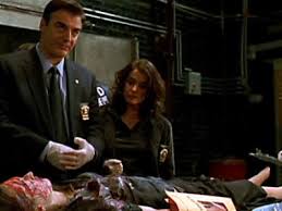 Rizzoli & isles 105 episodes. Law Order Ci S05e13 Proud Flesh Summary Season 5 Episode 13 Guide