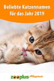 Popular Cat Names For 2019 Zooplus Magazine Cat Katzennamen Magazine Names Popular Zooplus Katzen Namen Beliebte Katzennamen Katzennamen