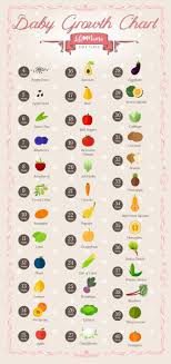 21 Weeks Pregnant Fruit Chart Www Bedowntowndaytona Com