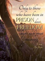 80 Inspirational Quotes On Freedom Sayings Images Freedom Quotes Inspirational Quotes Freedom Inspirational Quotes