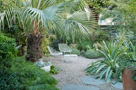 Flora Grubb S Home Garden Entry Garden Flora Grubb Plants Street Trees