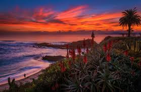 Laguna beach florist is your one stop florist for same day flower delivery, weddings & events! Colors Of Christmas At Montage Laguna Beach Travel Caffeine