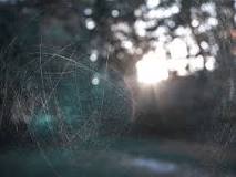 Image result