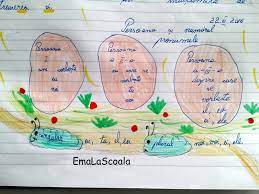 Raporturile patrimoniale şi nepatrimoniale stabilite între persoanele fizice şi persoanele juridice situate pe poziţie de egalitate juridică. Pronumele Persoana Si Numarul Organizare Vizuala