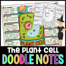 Check spelling or type a new query. Plant Cells And Organelles Doodle Notes Science Doodle Notes Tpt