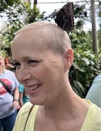 Tara Lane Warner Obituary (2024)