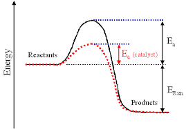 Catalyst
