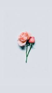 Minimalist Rose Gold Desktop Wallpaper Tumblr Archives Themediocremama Com Thanks for reading rose gold macbook wallpaper tumblr hd. themediocremama com