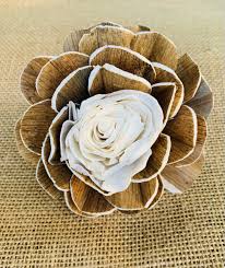 We did not find results for: Sola Rosey Skin Flower Sola Wood Flowers Lmf Luv My Flowers Wholesale