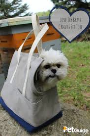 Pin On Dog Product Reviews