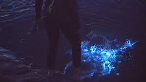 Doordat deze alg geen bladgroen heeft, kan het niet zijn eigen voedsel maken met behulp van licht (fotosynthese). Glow In The Dark Noordzee Door Zeevonk Nos Jeugdjournaal