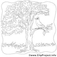 Baum Sommer Malvorlage Coloring And Malvorlagan