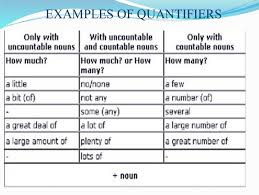 I bought many commodities from the fair. Quantifiers