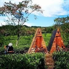 Jawa timur memang memiliki banyak ragam destinasi wisata. Harga Tiket Masuk Dan Lokasi Bukit Kuneer Malang Jawa Timur