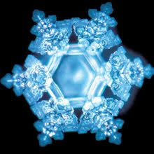 Tin la sanatatea mea si cred ca e un obicei sanatos. La Inceput A Fost Cuvantul Top Coach