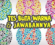 Psikotes matriks gambar dan jawabannya. Latihan Tes Psikotes Gambar Beserta Jawabannya Beserta Jawabannya Quiz123
