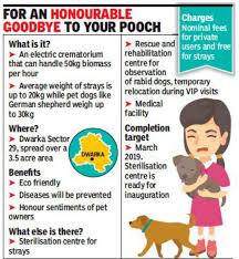 Form_title=pet friendly decorating form_header=keep your home stylish and pet friendly with help from the professionals! Delhi To Get 1st Govt Run Crematorium For Dogs Delhi News Times Of India
