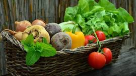Harvesting Your Hard Work: Part 3 of the Growing Your Own Food Series