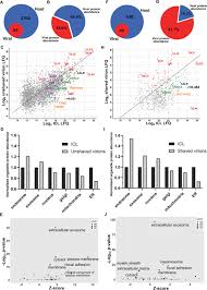 Lorem ipsum , random , text , generator , placeholder, paragraph generator, random text, random string, dummy text, content, word. The Host Exosome Pathway Underpins Biogenesis Of The Human Cytomegalovirus Virion Elife