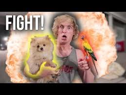 Maverick Vs Kong First Meeting Youtube In 2020 Logan Paul Logan And Jake King Kong
