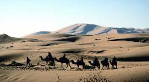 Number plus singular countable noun, e.g. Sahara Overland Travel History Books Tours Morocco Overland