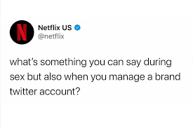 Netflix S Twitter Asks For Brand Friendly Sexual Double Entendres People Com