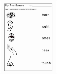 Number Names Worksheets Printable Number Chart 1 50 Number Names Workshe Five Senses Worksheet Free Kindergarten Worksheets Kindergarten Worksheets Printable