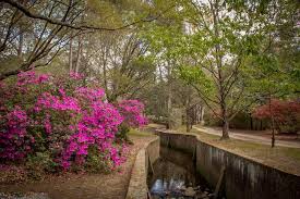This was an extremely tough decision, said chris sapp, ceo of the summerville family ymca. Azalea Park Sc Picture Project