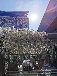 Fake email domain stopped working, what to do? Photo Gallery At Lucarelli Restaurant Birmingham Mailbox Lucarelli Restaurants Traditional Italian Cuisine