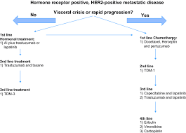 It&#x27;s given to adults who&#x27;ve already completed a treatment regimen that includes trastuzumab. A Suggested Treatment Algorithm For Treatment Of Her2 Positive Mbc Download Scientific Diagram