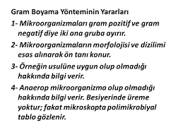 Mikrobiyolojide Temel Boyama Yontemleri Ppt Video Online Indir
