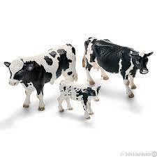 Cattle Holstein Cow Calf Bull Cow Holstein