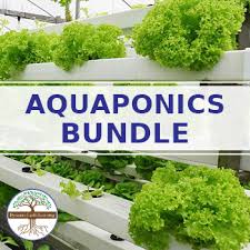 Aquaponics Earth Science Worksheets And Activities Bundle Google Pdf Print
