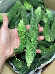 Image result for Momordica repens