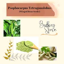 Image result for Psophocarpus