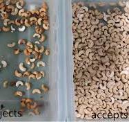 High Capacity Peanuts Nuts Color Sorter 32 Channels