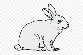 Maybe you would like to learn more about one of these? Bunny Rabbit Clip Art Rabbit Black And White Clipart Png White Bunny Png Free Transparent Png Images Pngaaa Com