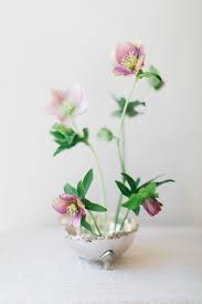 Get to know your apple watch by trying out the taps swipes, and presses you'll be using most. Hellebore Ikebana Flower Arrangement Spring Wedding Flowers Flower Arrangements