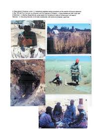 Image result for Danthoniopsis dinteri