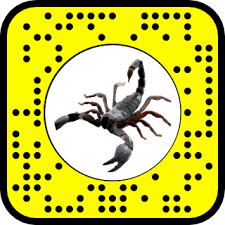 Play as scorpion and subzero (story mode) New Lens Scorpion Lens Studio Community