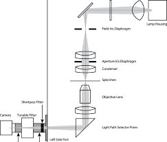 See full list on microscopeclarity.com Hsi Microscopy The Tunable Bandpass Filter And Camera Were Connected Download Scientific Diagram