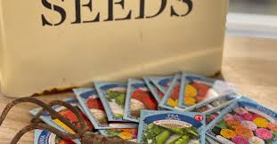 Maybe you would like to learn more about one of these? 5 Shocking Reasons To Buy Dollar Tree Seeds Farmhouse Bc