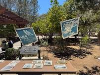 Catalina Island Cyanotype Workshop with Oriana Poindexter