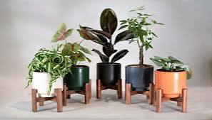 Introducing Urban Roots — Designed and Crafted in Collaboration with R