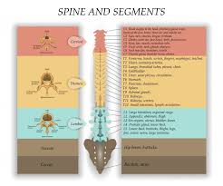 The persistence can be on a localstorage or even on a server via a restful api. Spinal Cord Injury Diagnosis