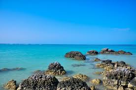 Hasil gambar untuk gambar laut mati indonesia